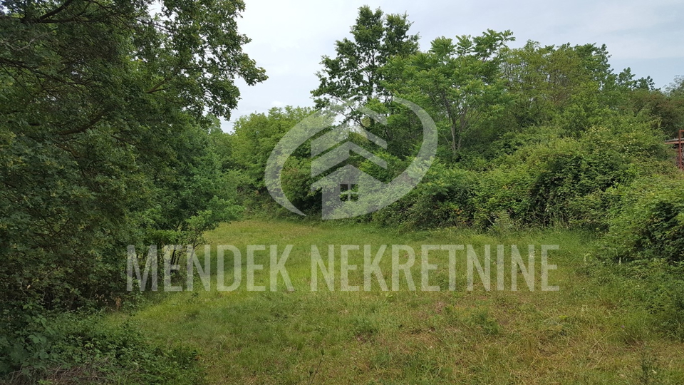 Land, 15000 m2, For Sale, Žminj